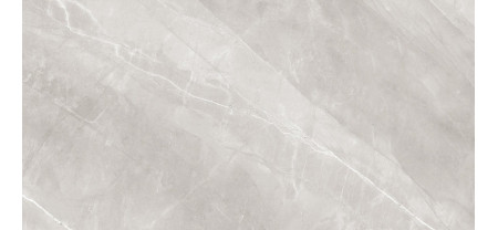 Керамогранит ARCADIA Ceramica Armani Silver 60x120 RT (Мат) Керамогранит ARCADIA Ceramica Armani Silver 60x120 RT (Мат)