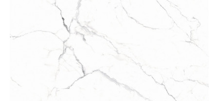 Керамогранит ARCADIA Ceramica Cararra White 60x120 RT (Мат)